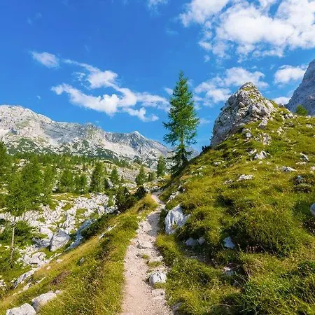 Garni 8 Сasa de vacaciones Bovec